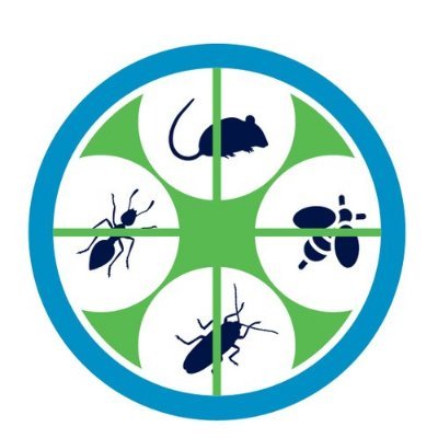 GingerBay Pest control is a team of professionals with sound knowledge and understanding on pest control and we realize the health risk these pest can pose.