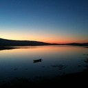 Barbara Loftus - @colloft - Twitter