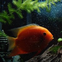 Phil Gusman (@pgusman) 's Twitter Profile Photo