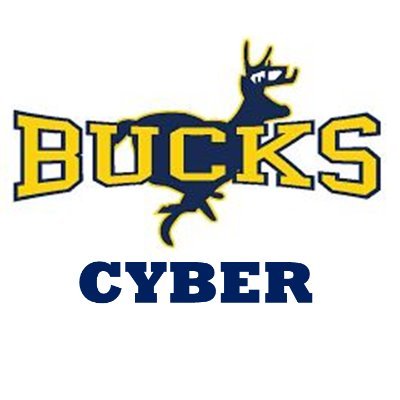 Thanks to a TVA grant, the Buckhorn Cybersecurity class works to educate the community about ongoing cyber threats and computer issues.