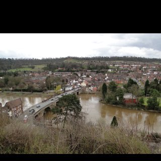 sensitiverecept's profile picture. Car nut