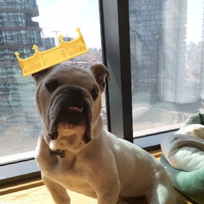 malasedef's profile picture. Karakter analizi yapan sisteme karşı bir paramilisim.