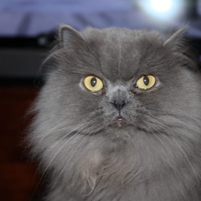 manzanoc_m's profile picture. LOVE