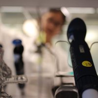 Lupoli Lab (@lupolilab) 's Twitter Profile