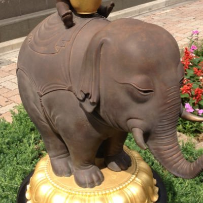 qwert_xox's profile picture. 🌿自由につぶやく用🌿音楽⚡️映画