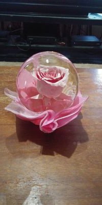 KathyShiko's profile picture. 