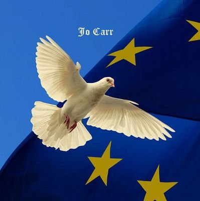 If at first, you don’t succeed, redefine success. 
I’m not arguing, I’m just passionately expressing my opinions…with facts 
Best for Britain rejoin the EU