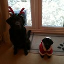 Milo and Jacob - @MiloandJacob - Twitter