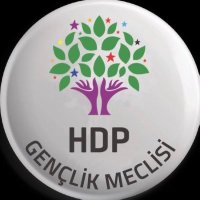 HDP Amed Gençlik Meclisi(@HdpAmedGenc1) 's Twitter Profile Photo