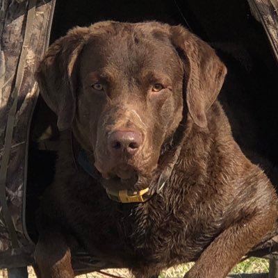 clement_jf's profile picture. 