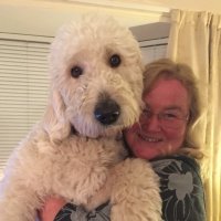 ruth samson (@ruthmotpda) Twitter profile photo