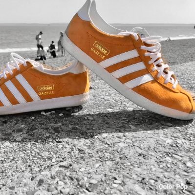 Fish Finger sarnie addict 🐟 #80s #SAFC #Adidas/// #Darlo #exRoyalNavy #RFA #Vindaloo 🌶 ⚽️ 🍛 👟🔴⚪️