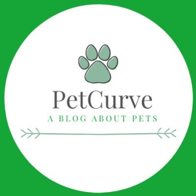 petcurve's profile picture. Owner to many pets, writer of a pet blog, and animal enthusiast. Follow us on Instagram for more or check out our blog!