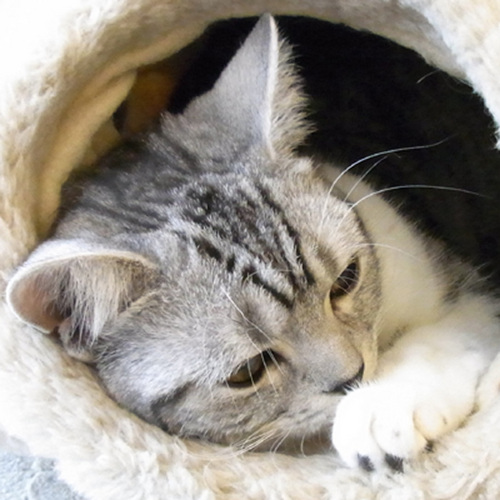 trigeminal01's profile picture. 