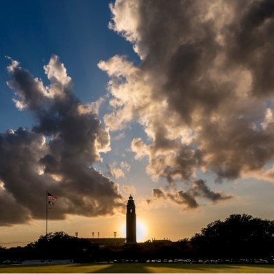 ...official account for the LSU Office of the Dean of Students. A Champion for Students. Love Purple. Live Gold. Geaux Tigers.