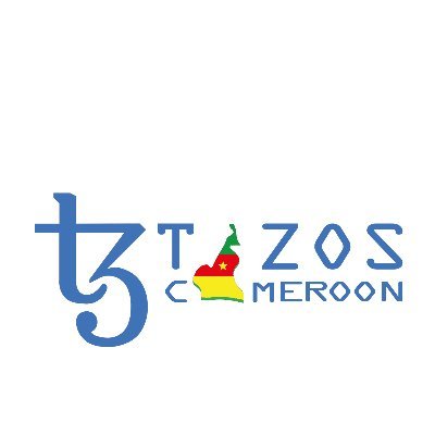 Tezos Cameroun is a community of developers who popularize the use of the Tezos protocol in Cameroon and Africa