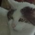 Emile (@jefjef12794531) Twitter profile photo Emile (@jefjef12794531) Twitter profile photo