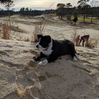 Scott Bordner (@scottbordner) 's Twitter Profile