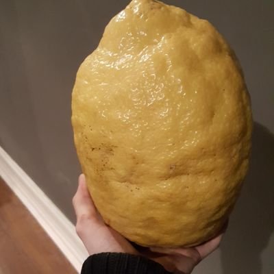 Lemon__Tips's profile picture. it's lemon tips