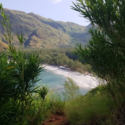 MikeeS109's profile picture. 