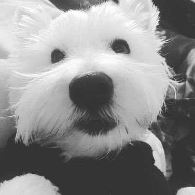 nutunit's profile picture. Intestinal failure nurse. 4 kids and Milo Westie. Enjoys wine, cheese and chocolate. Not keen on diets, soaps and ignorant people.