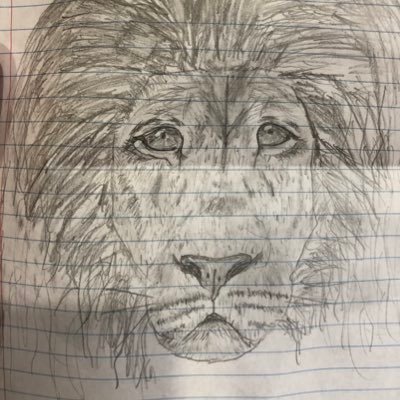 edi_bice's profile picture. 