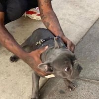 Curtis (@_liluzicurt_) 's Twitter Profile