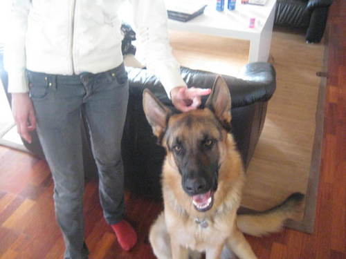 DinaalovesJames's profile picture. Heey, my name is Christina.. My Boyfriend.. Belive it or not James Maslow!!! Haha.. Best friend: Taanjjaa, Natalie and Chanel!!! Luv you girls!!!