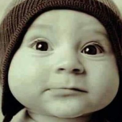 XmissileMan's profile picture. Party, hearty, fun and games