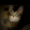 Tamara Russo - @russo7764 - Twitter