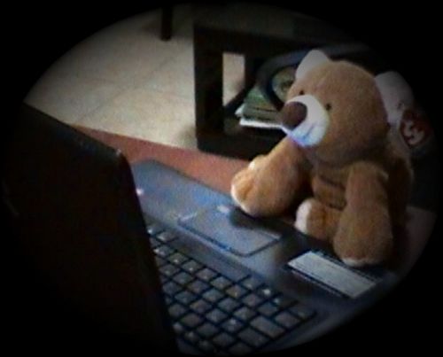 Software coder. Working on flightsims for quite a long time.
