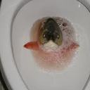 Roy Fish - @GhostRoyFish - Twitter