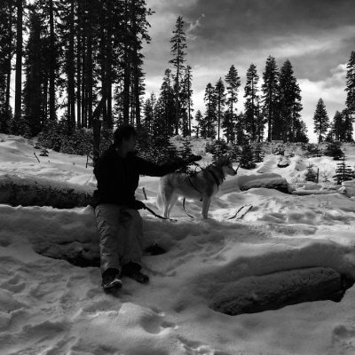 Interdisciplinary researcher at the intersection of climate science, economics, & equity / Current @PrincetonSPIA postdoc / @ERGBerkeley PhD / Husky-Enthusiast