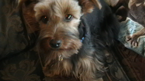 Love marketing and strategising, animals, real esate promotion,  and travel!