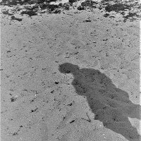 DhRS (@nerdy_grad) 's Twitter Profile Photo