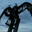 fred lees - @freddo42 - Twitter