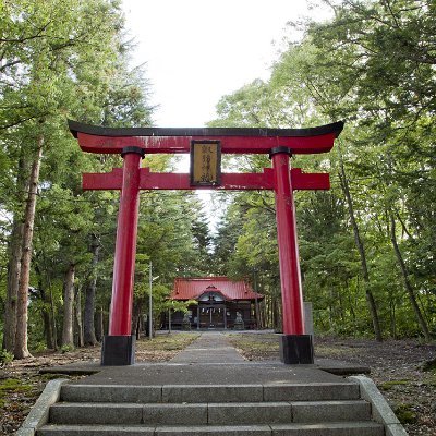 河口湖周辺の風景や出来事を投稿しています。 Wonderful Lake Kawaguchiko!