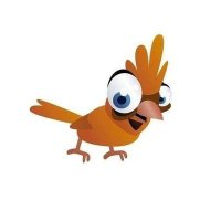 PajaritoNews (@elpajaritonews) 's Twitter Profile Photo PajaritoNews (@elpajaritonews) 's Twitter Profile Photo