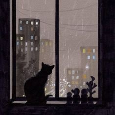 tokatu89's profile picture. 