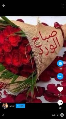 zu38TkbbrpMLaiI's profile picture. 