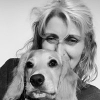 Helen Rollins (@kittykatrollins) 's Twitter Profile