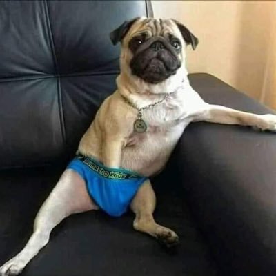 MiracleNoDash's profile picture. Doto