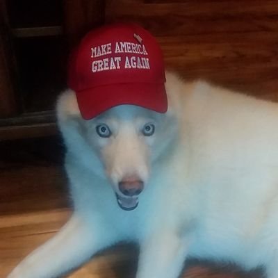 JAFO(Just Another F**king Observer!).Love God, country, dogs. Trump https://t.co/8Kz11yREUX vet, 2 sons-1 Army, 1 Marines. #MAGA. #FJB. @JAFO360RealTruth. Support vets.