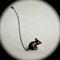 Cressida Dunnart (@cdunnart) 's Twitter Profile