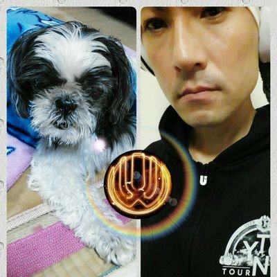 三代目歌丸 勝海麻衣 銭湯絵師見習いとモデルの両刀使いで好きやったんじゃけどね しかも左利き 最近ではdaokoやヨシダナギと共にbeatsのcmにも出とって世界に知られる若き美人銭湯絵師として話題になっとったのにね 流石になんぼ何でもアレは盗作