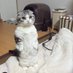 @xk_pzz15235