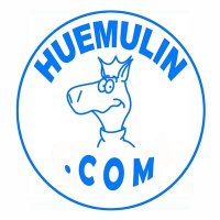 HuemulinComics 🗯(@HuemulinComics) 's Twitter Profile Photo