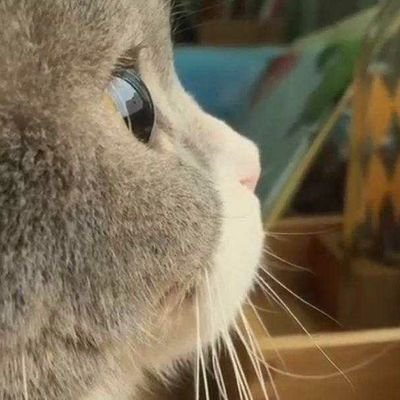 Lily12sui's profile picture. 一墙之隔，天涯咫尺。