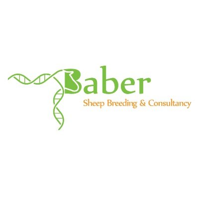 Baber Sheep Breeding & Consultancy is a farm and sheep breeding system, focusing on the ethos of 'Genetics not Cosmetics' to deliver superior, healthy stock.