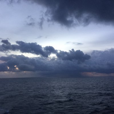 Margare15568950's profile picture. I write, work, paint and walk the beach (not always in that order). Happily married. I follow back.  NO DMs. #amwriting #writingcommunity #artist #writer